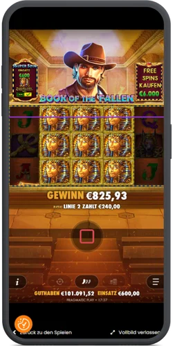 Gewinn von 825 Euro im Super Spin Modus von Book of Fallen